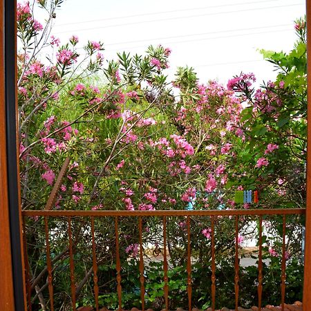 Villa Poseidon Dalyan Dış mekan fotoğraf