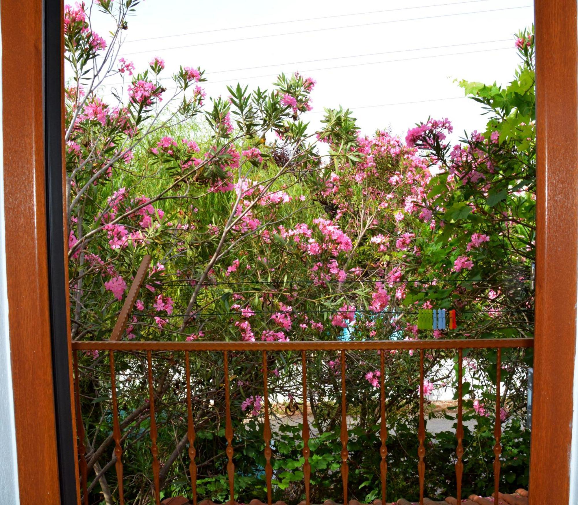 Villa Poseidon Dalyan Dış mekan fotoğraf